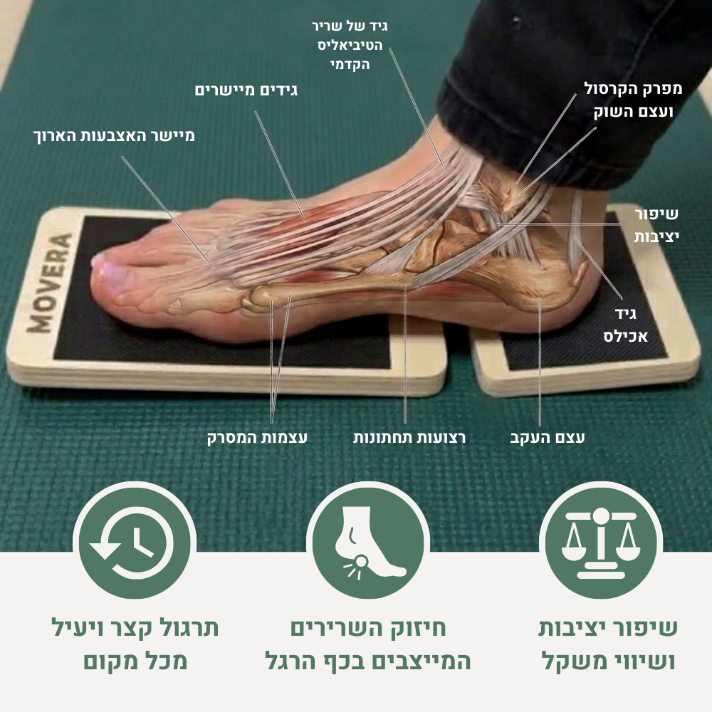 MOVERA ANKLE לוח יציבות לחיזוק השרירים המייצבים ומתיחת הקרסול וכף הרגל ,אימון ממוקד לשרירי כף הרגל במקרי נקעים,דורבן ועקב אכילס
